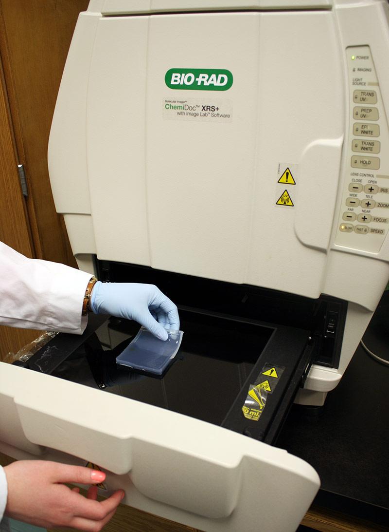 a picture of Gel blot imagining system