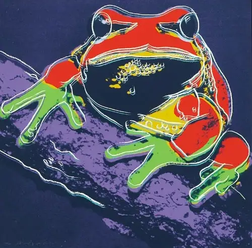 Tree Frog Illustration